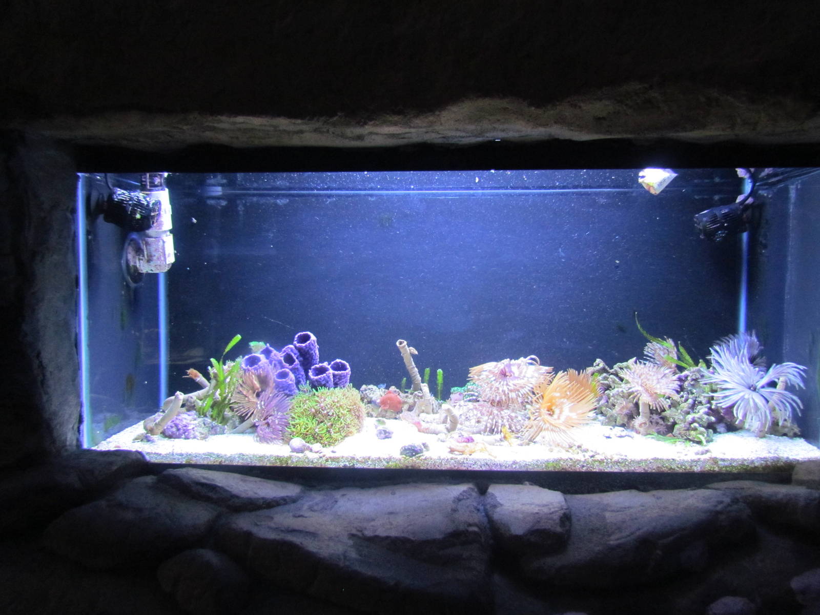 Jewel Tank