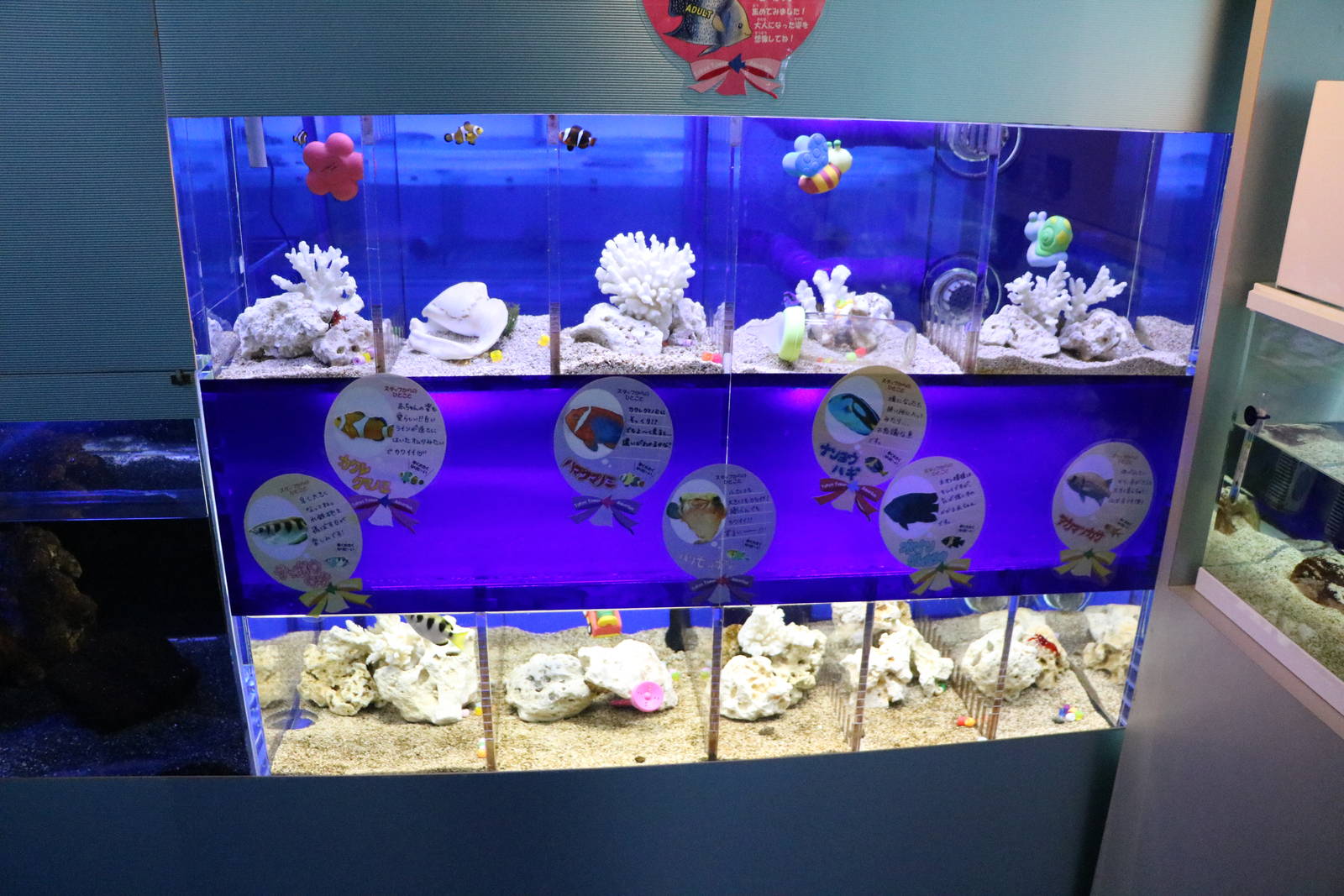 Jewel tanks - Tokyo Tower Aquarium, February 2016