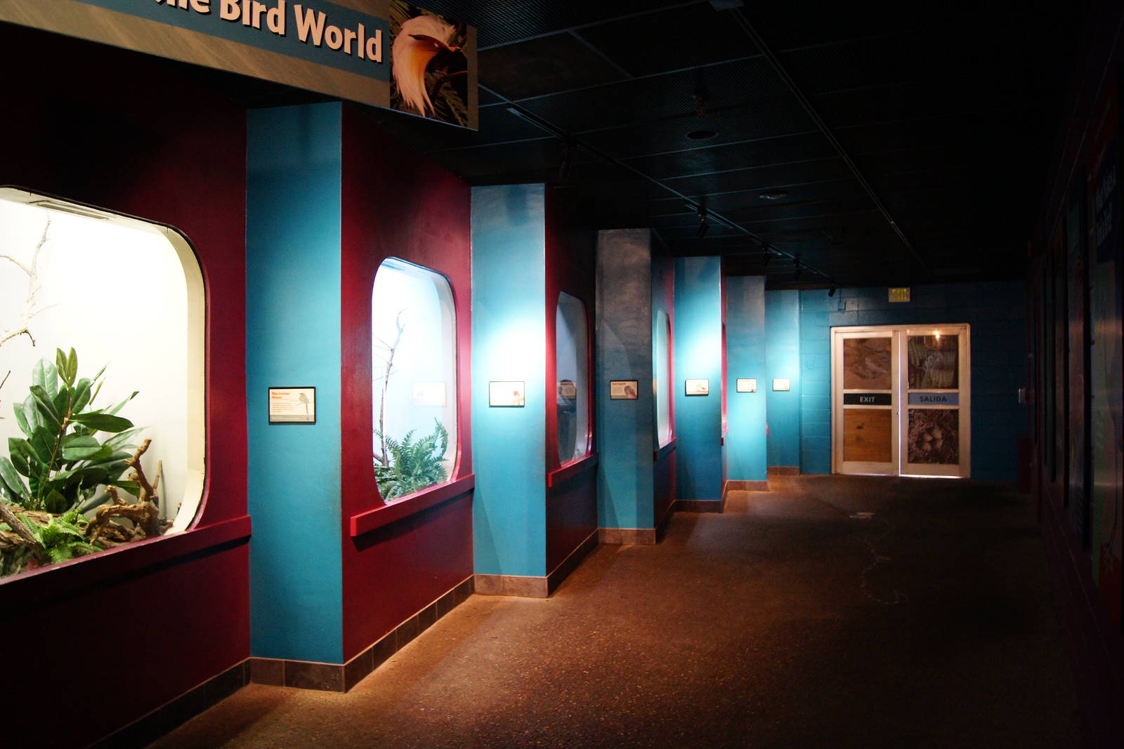 Jewels of the Bird World Exhibits