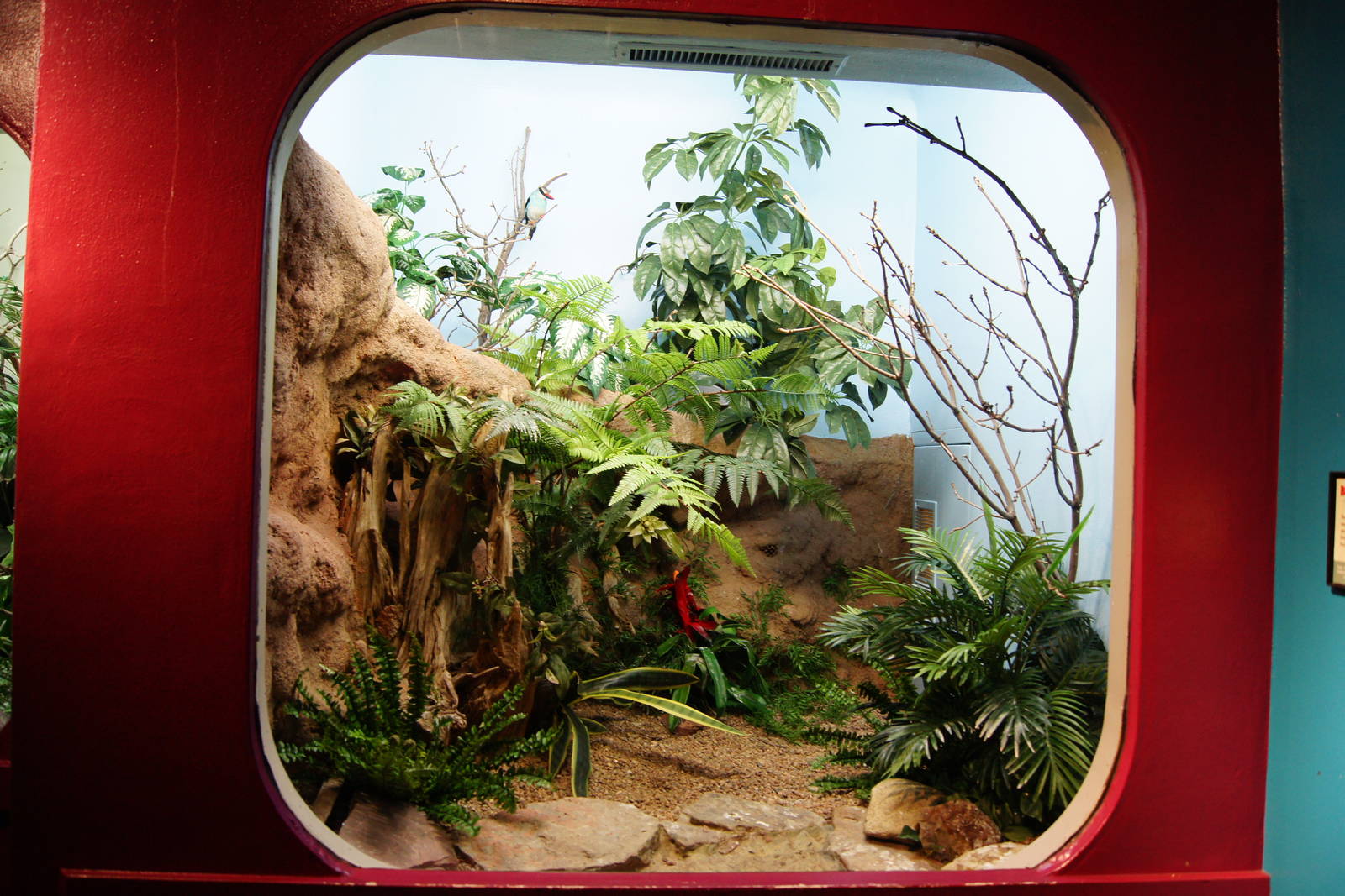 Jewels of the Bird World