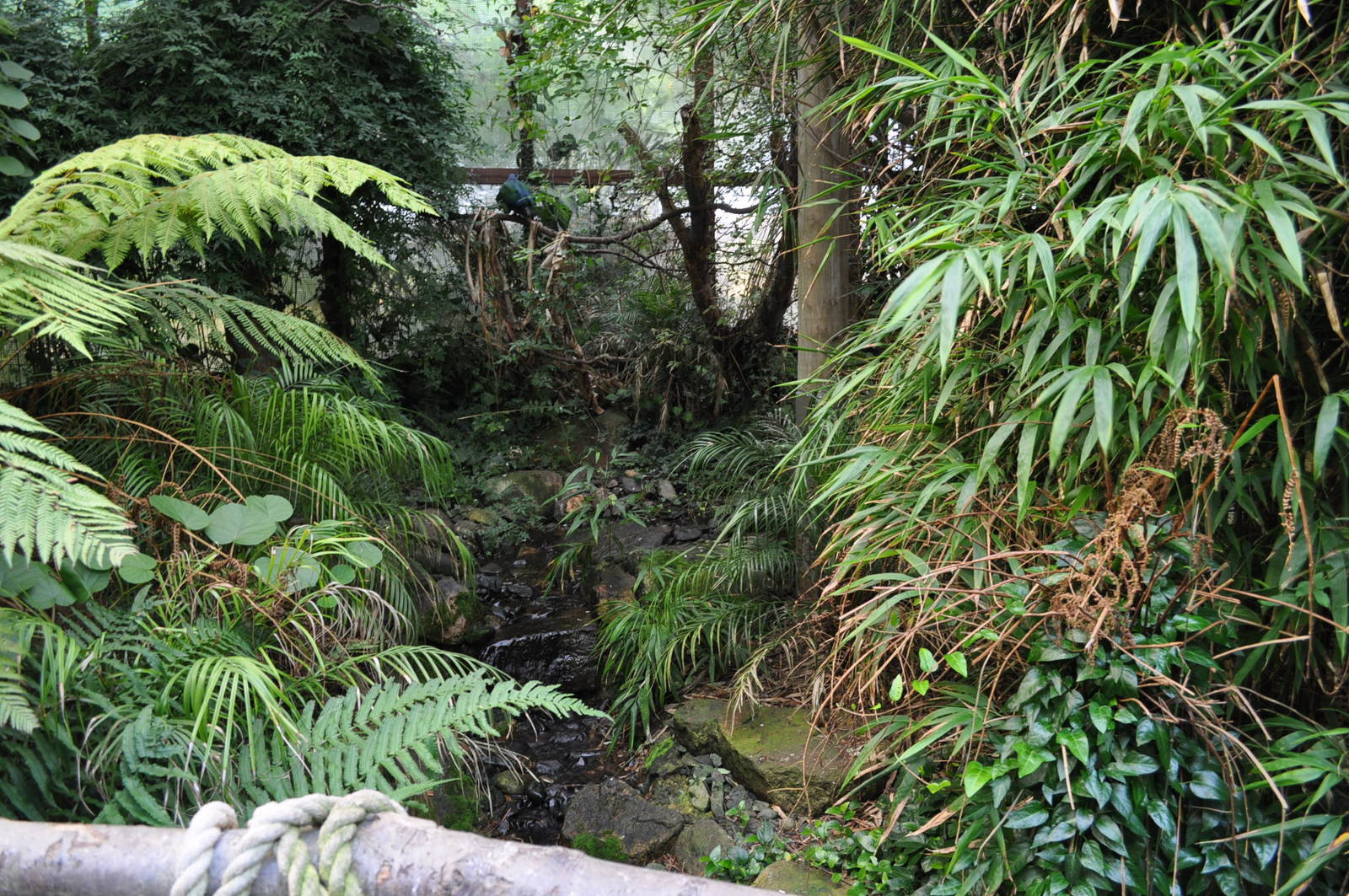 Jewels of the Forest Walkthrough