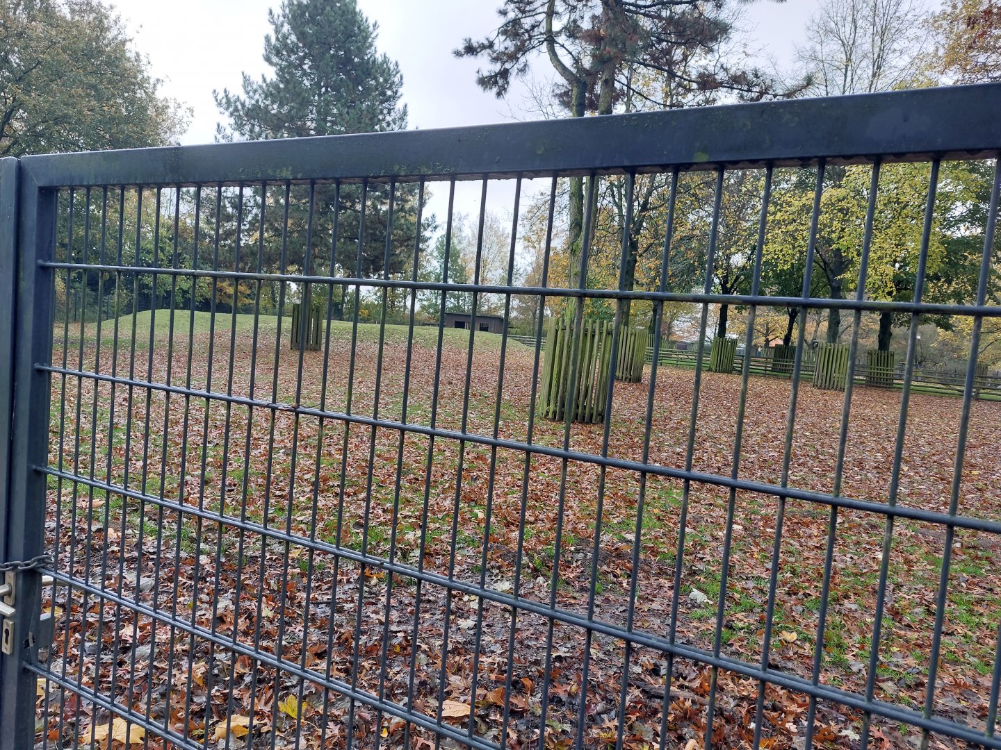 Jezersko–Solčava sheep enclosure (Stadtpark Emsdetten)