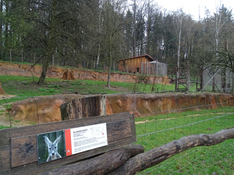 Jihlava 04/2016: Australian encloses