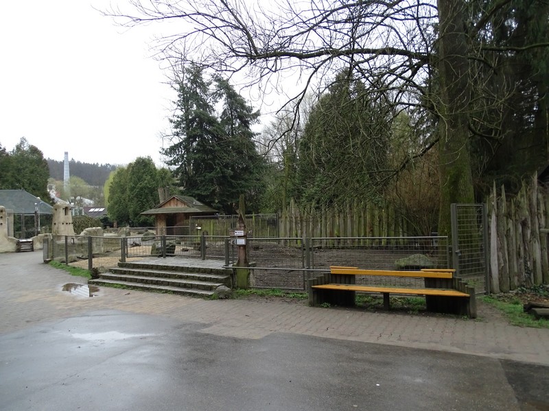 Jihlava 04/2016: Chacoan peccary enclosure