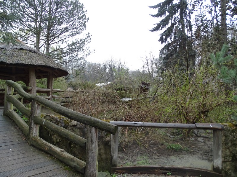 Jihlava 04/2016: Coati enclosure