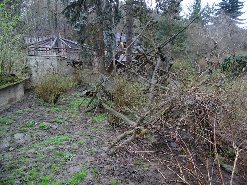 Jihlava 04/2016: Coati enclosure
