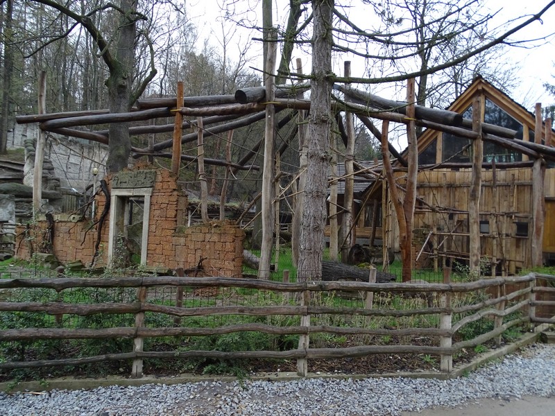 Jihlava 04/2016: Gibbons outdoors