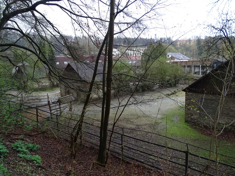 Jihlava 04/2016: Guanaco / rhea / mara