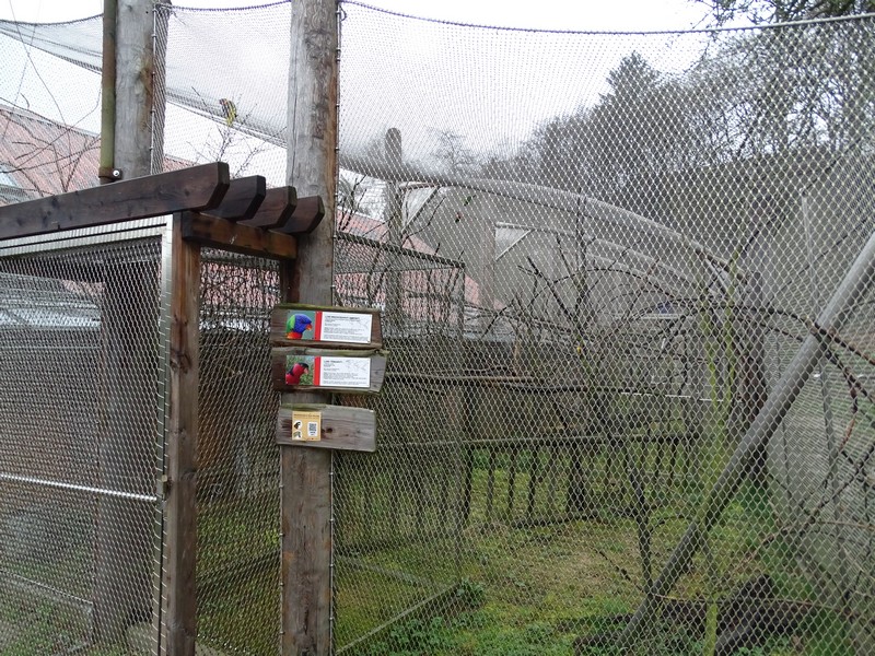 Jihlava 04/2016: Lorikeets enclosure