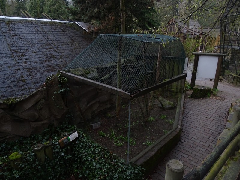 Jihlava 04/2016: Marmoset enclosure