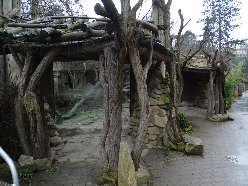 Jihlava 04/2016: Persian leopard enclosure