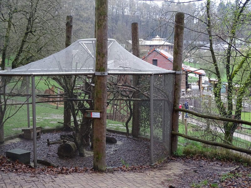 Jihlava 04/2016: Quoll enclosure