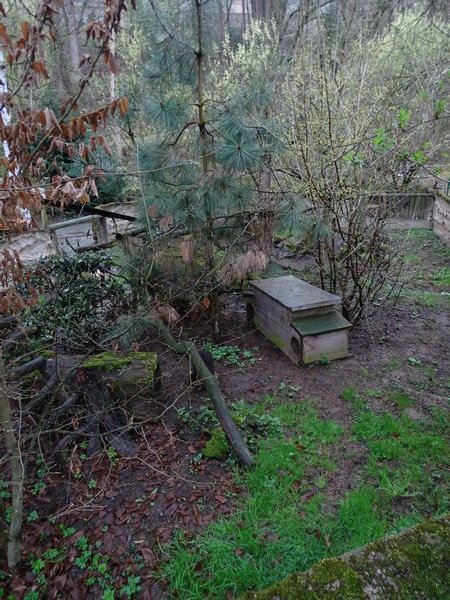 Jihlava 04/2016: Raccoon enclosure