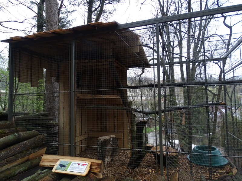 Jihlava 04/2016: Raven enclosure