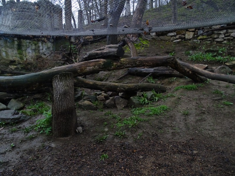 Jihlava 04/2016: Small cat enclosure