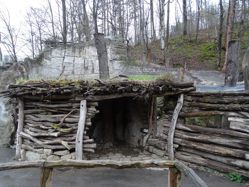 Jihlava 04/2016: Small cat viewing