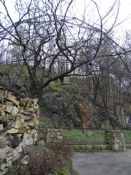Jihlava 04/2016: White-tailed sea eagle aviary
