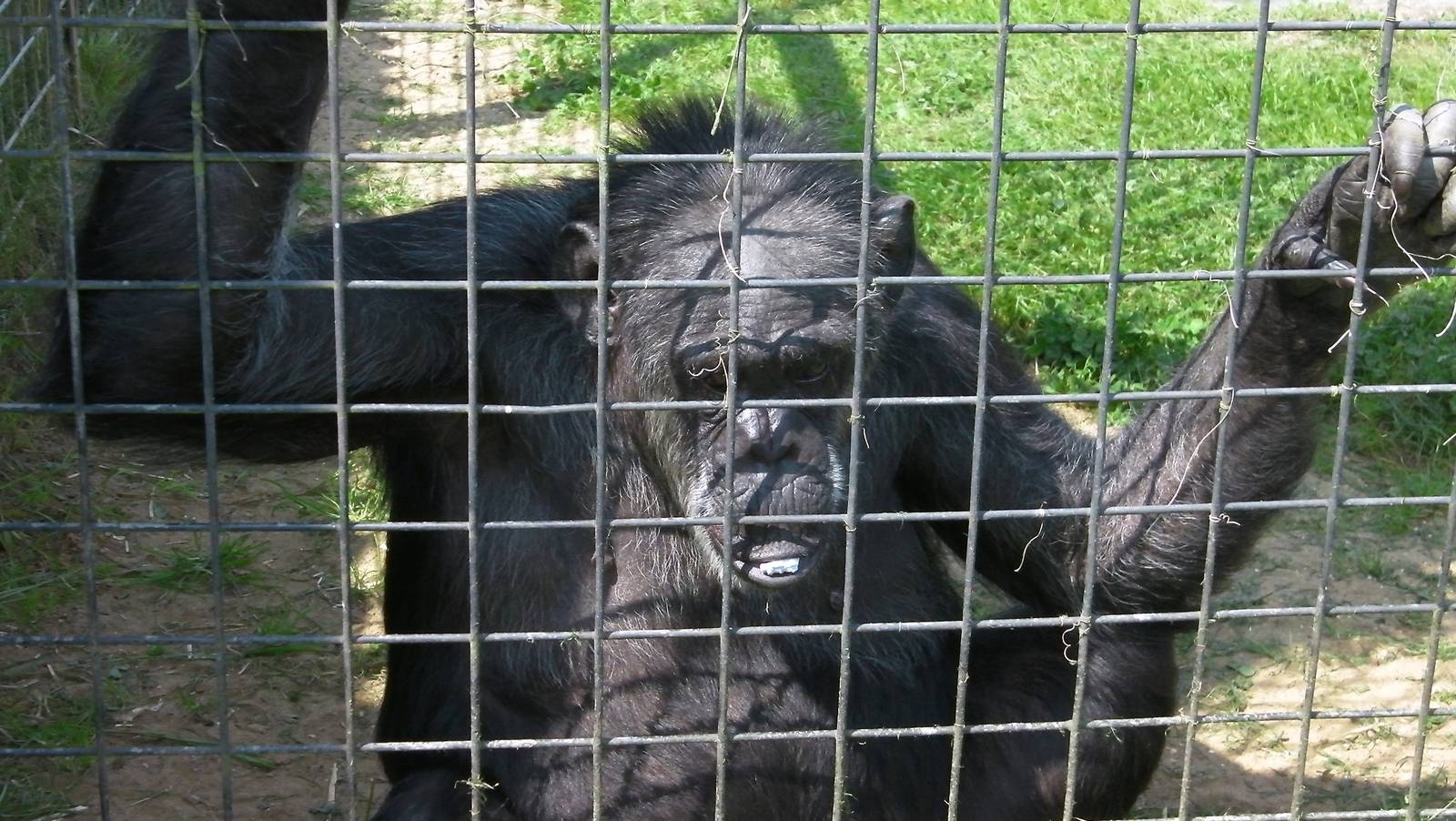 Jill Eating the Receipt - 03.08.2011