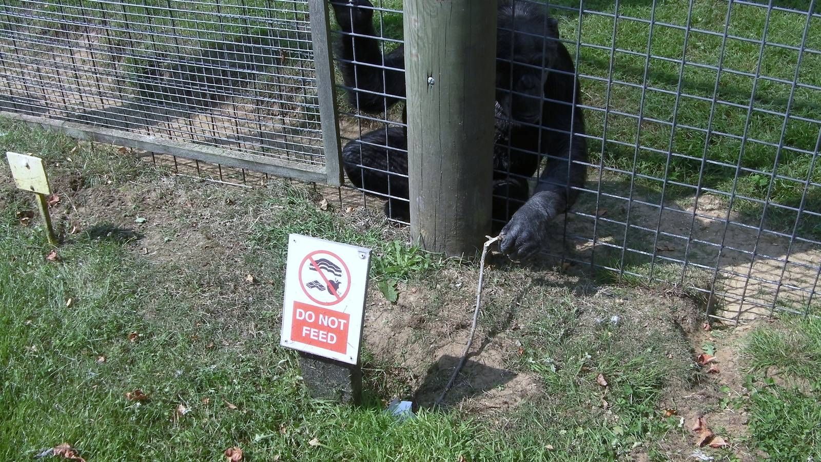 Jill Using a Stick to get a Dropped Receipt - 03.08.2011