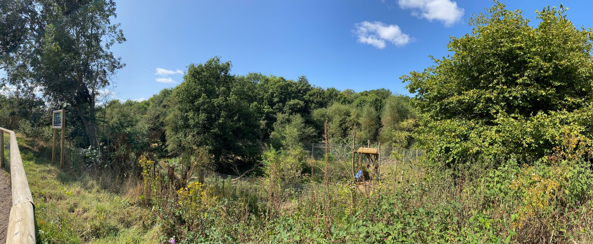 Jimmy's farm, brown bear enclosure, pano