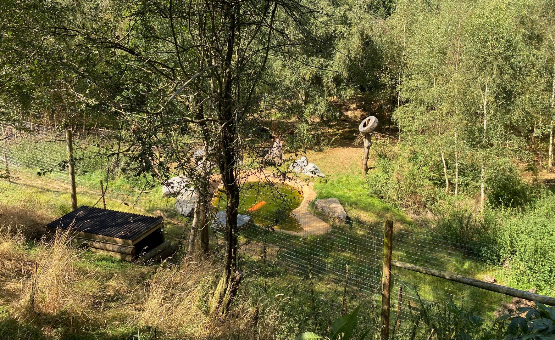 Jimmys farm, brown bear enclosure, pool