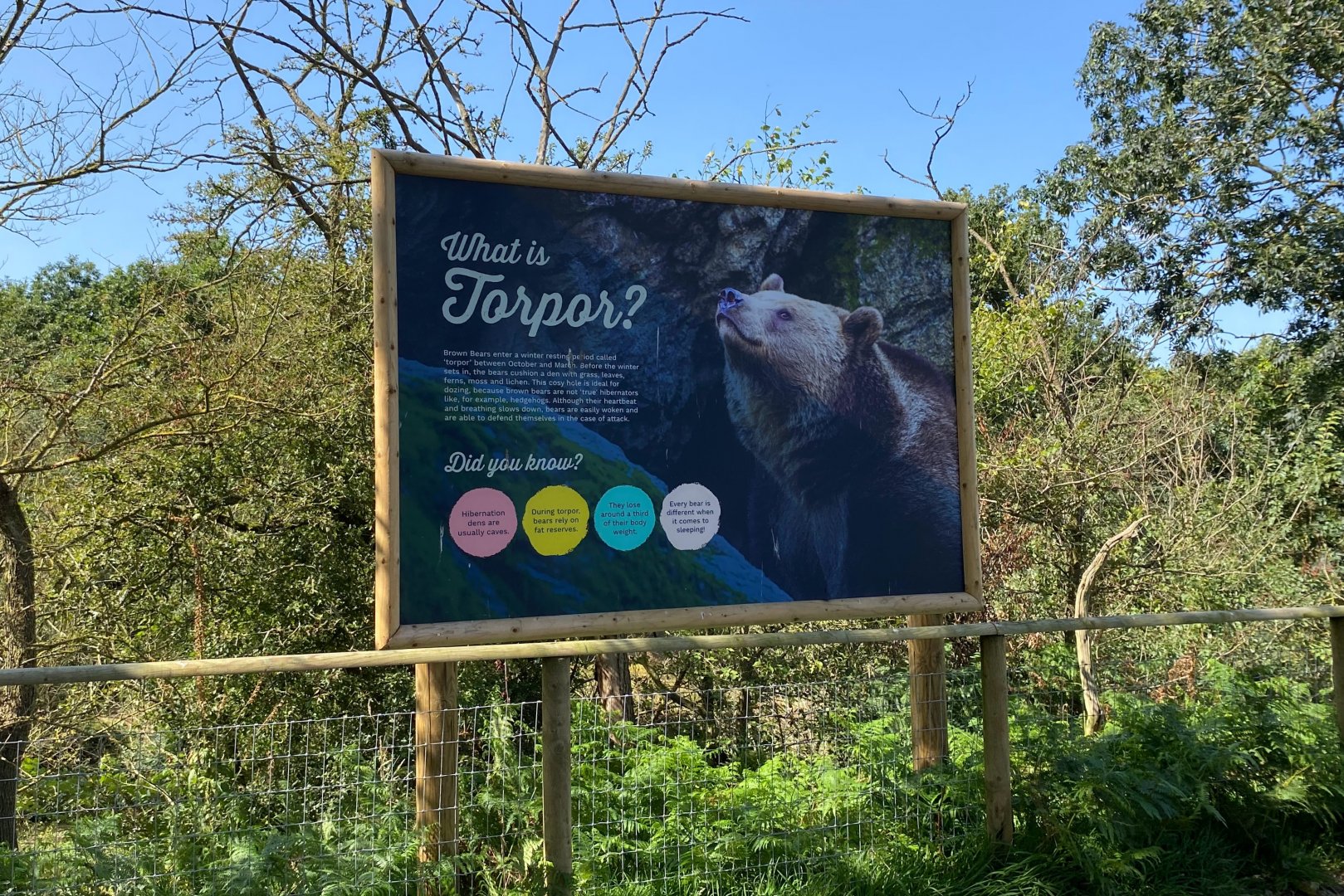 Jimmy's farm, brown bear torpor signage