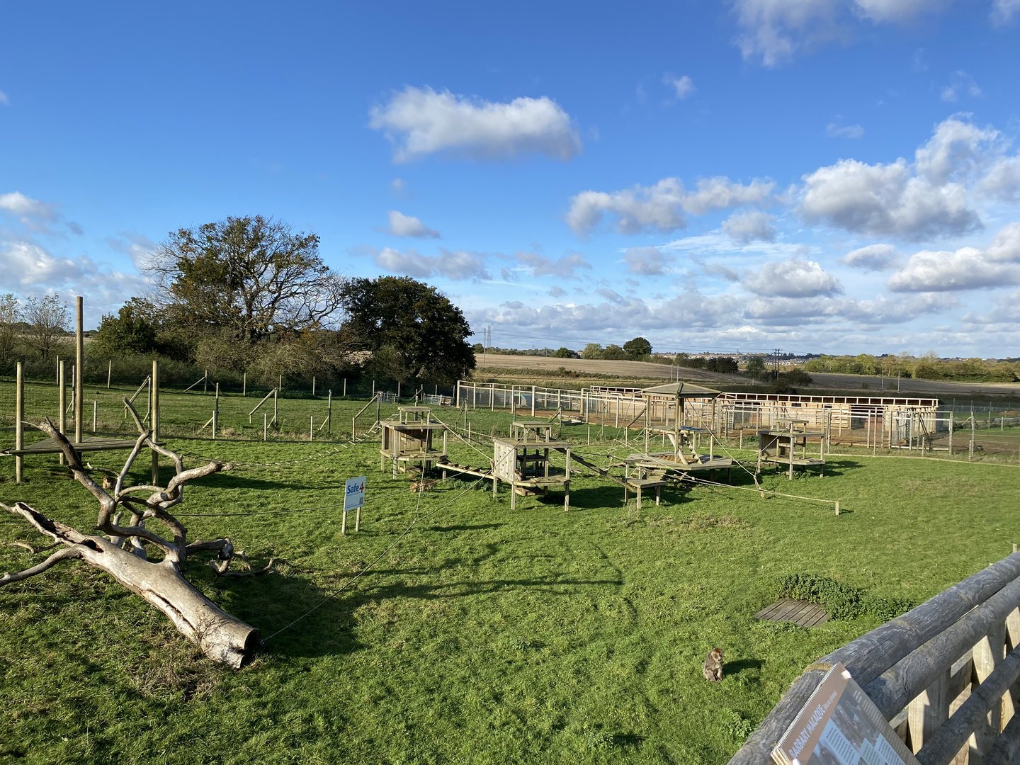 Jimmy's farm, macaque enclosure, left hand side