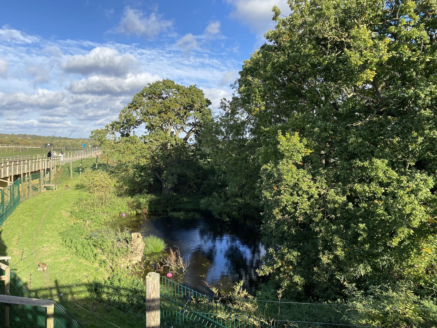 Jimmy's farm, macaque enclosure, right hand side