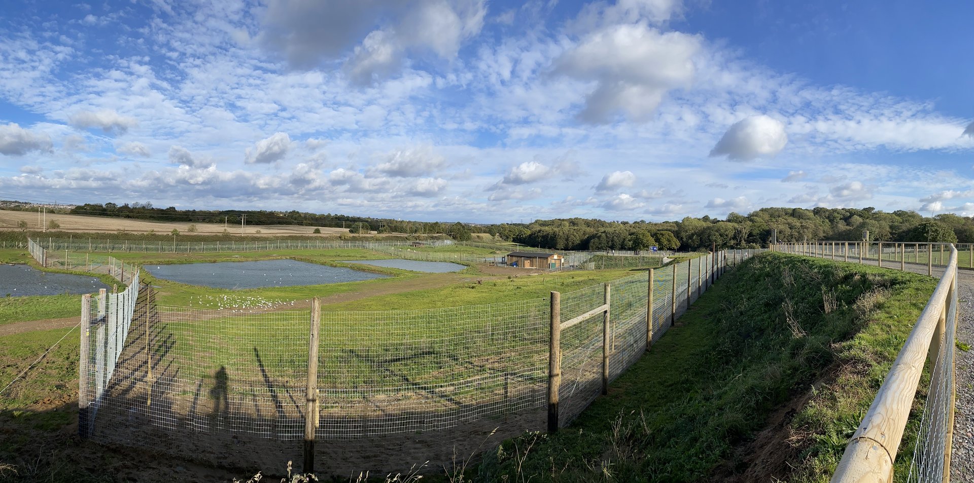 Jimmy's farm, polar bear enclosure, left side (pano)