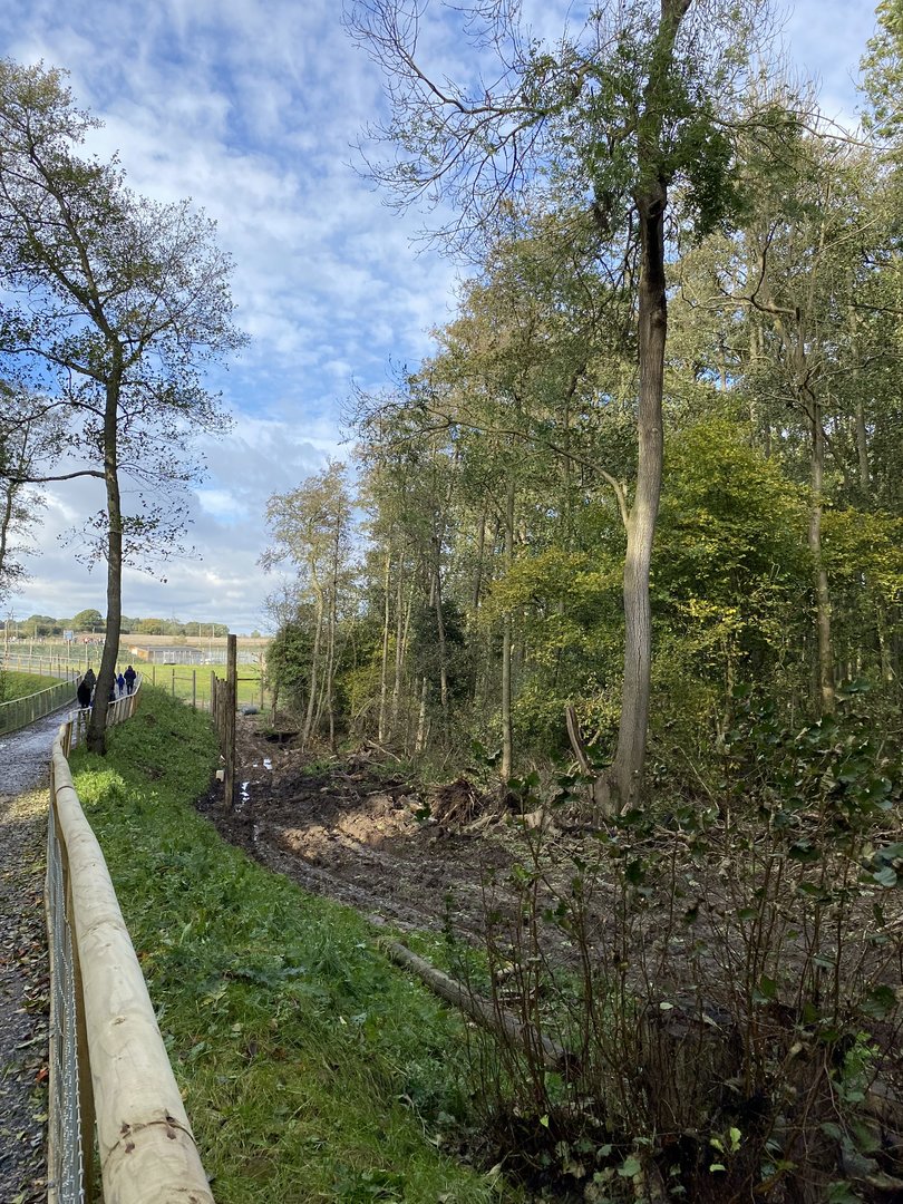 Jimmy's farm, polar bear wood, fencing under construction