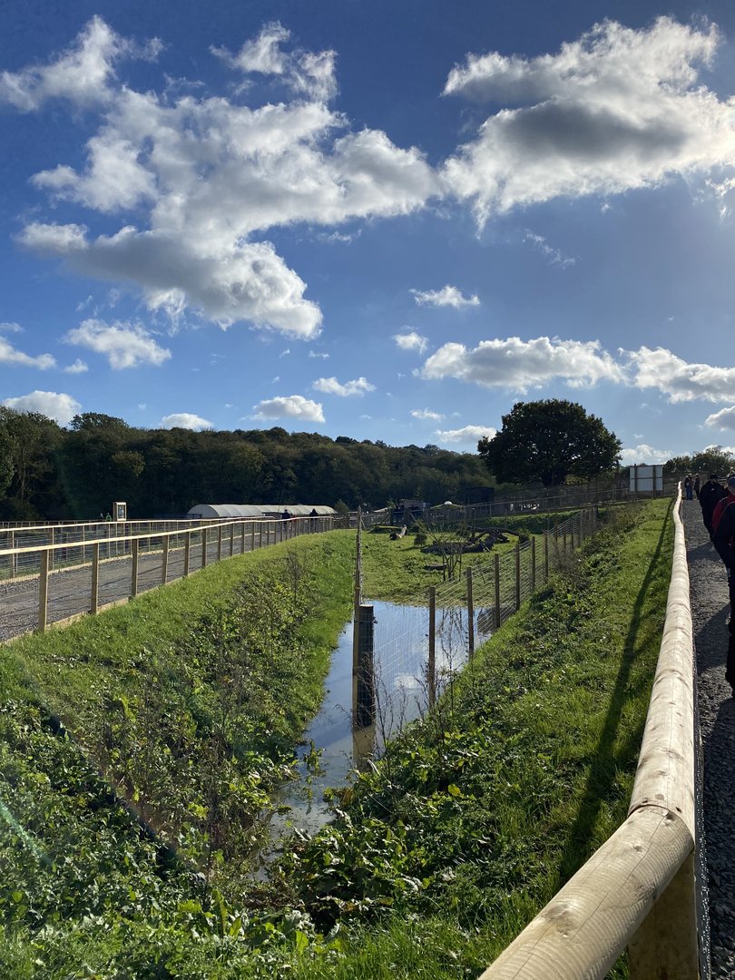 Jimmy's farm, red breasted geese enclosure