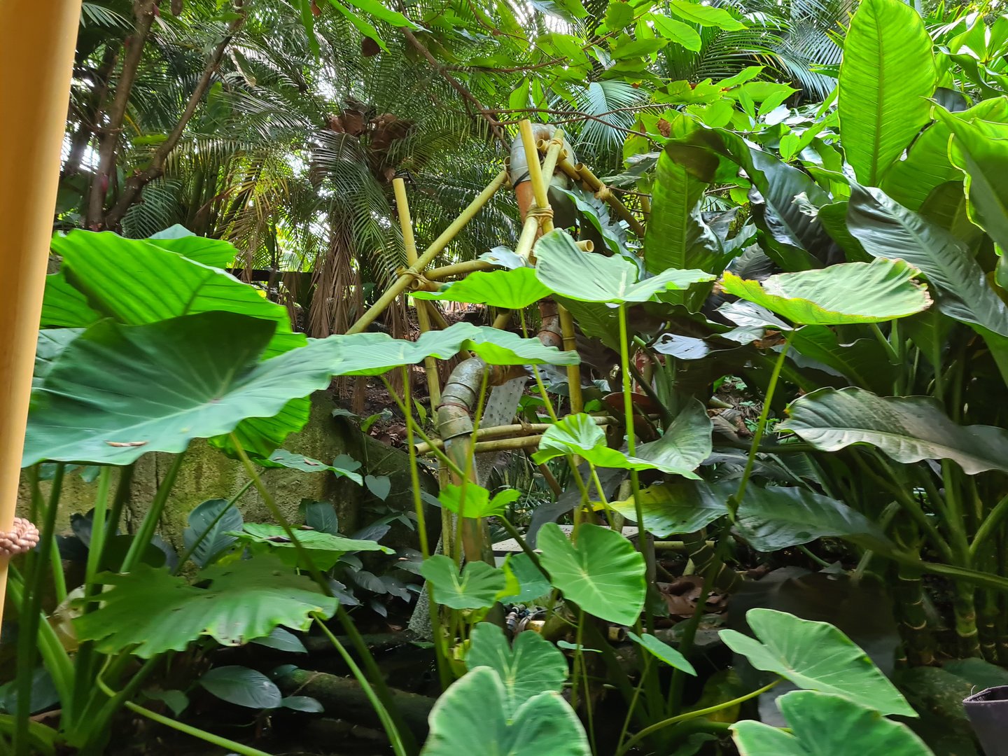 Jim's water filtration system seen from Rimbula river boat ride