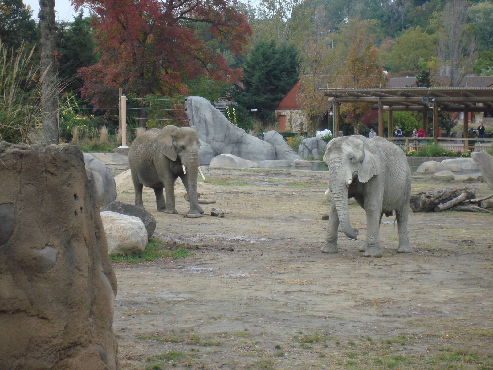 Jo and Moshi in the Savannah Range