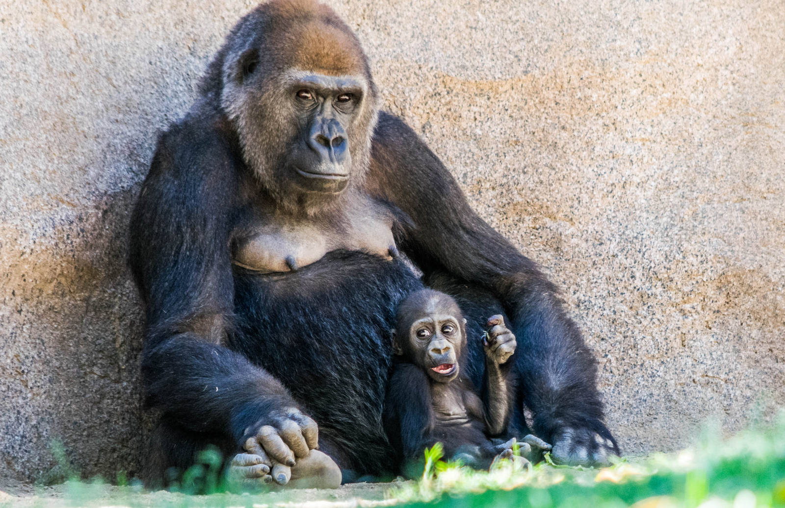 Joanne is getting bigger