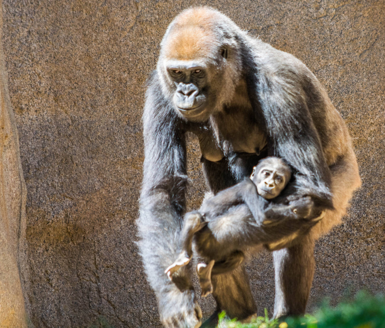 Joanne is getting bigger