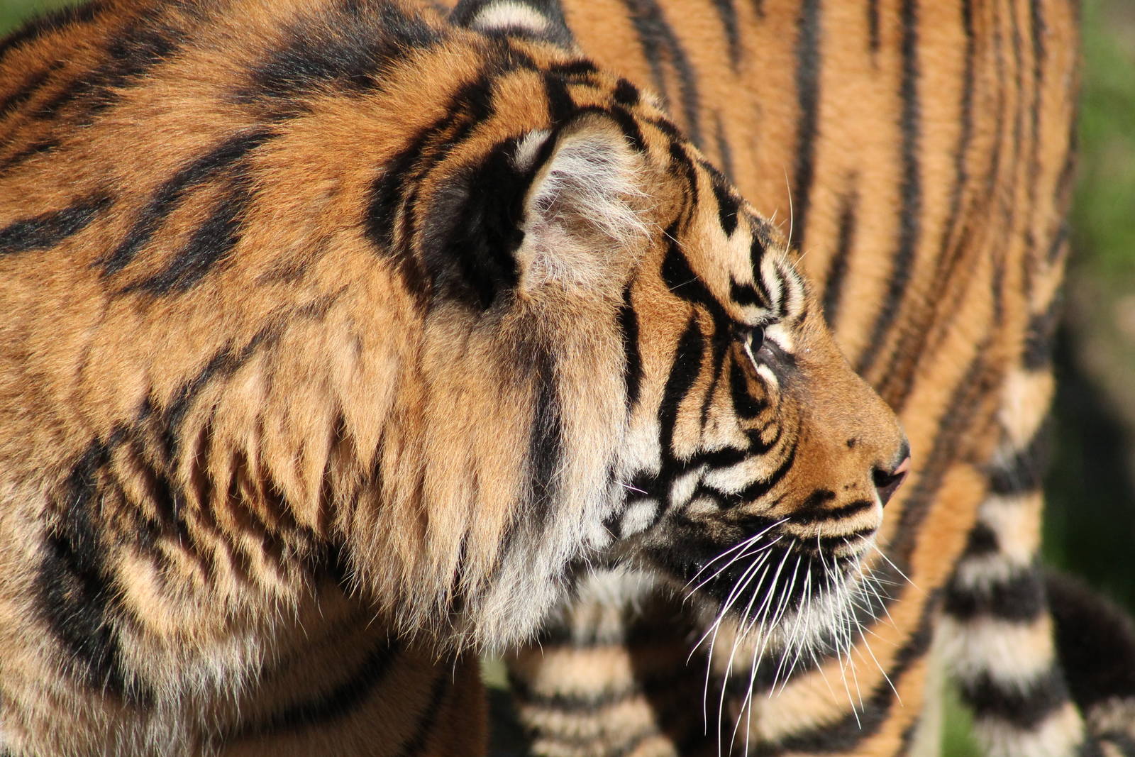 Joao - 13th April 2014