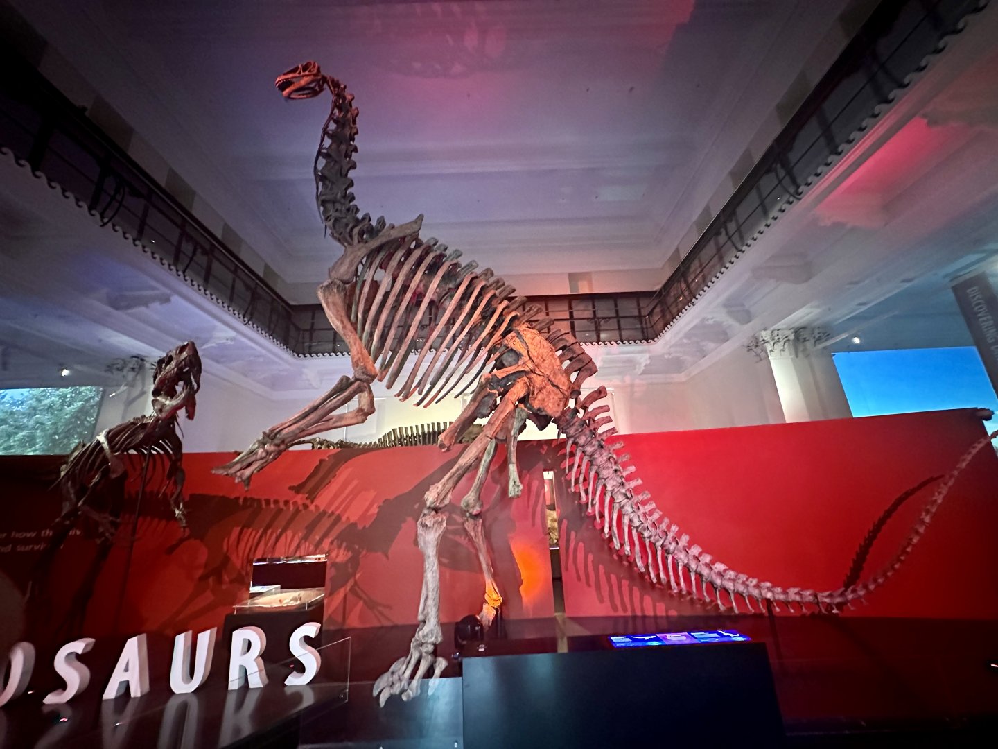 Jobaria tiguidensis (cast)