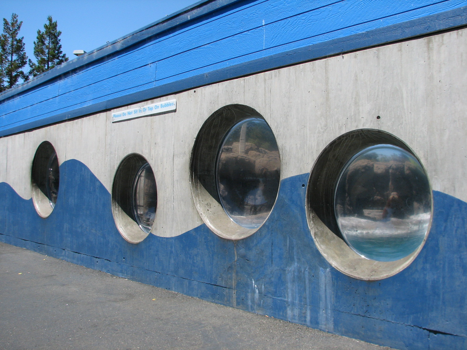 Jockos Walrus Experience - Bubble Viewing Windows