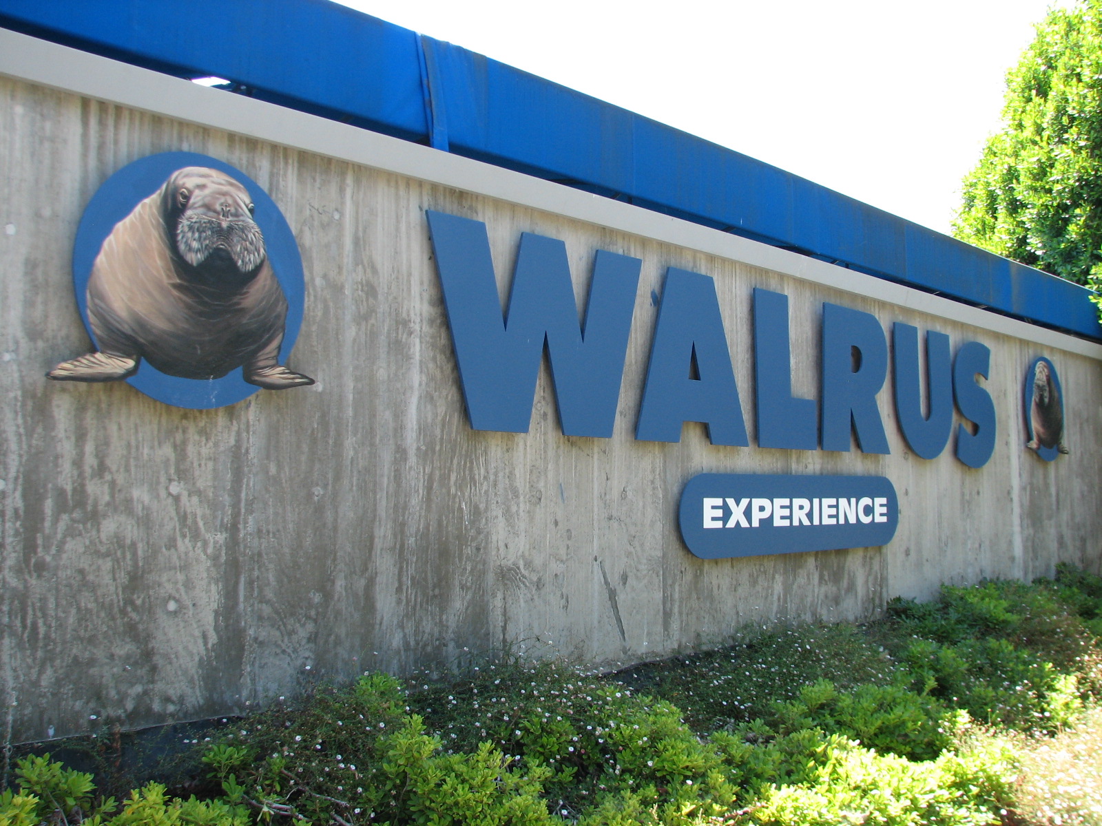 Jockos Walrus Experience - Sign