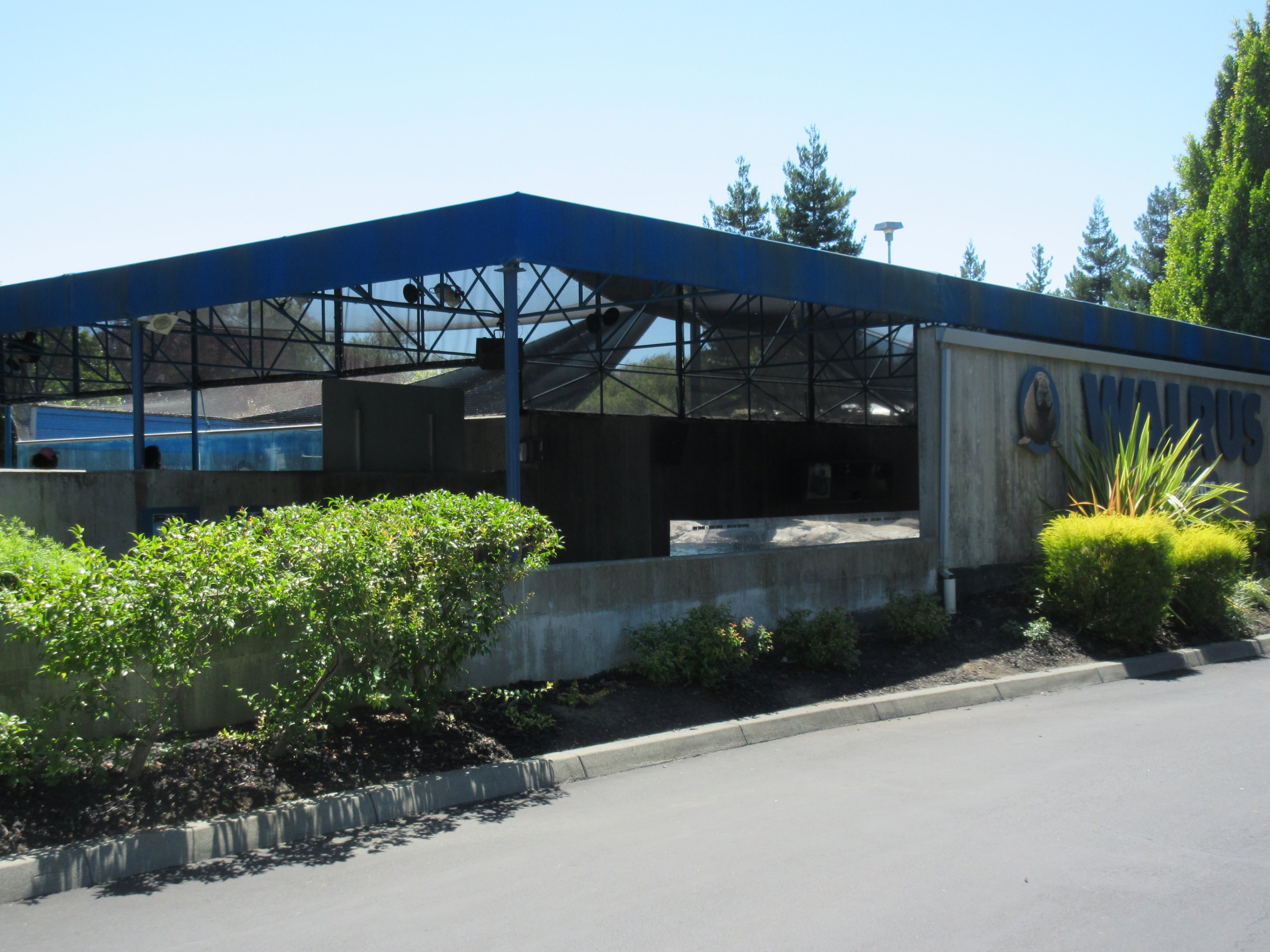 Jocko's Walrus Experience