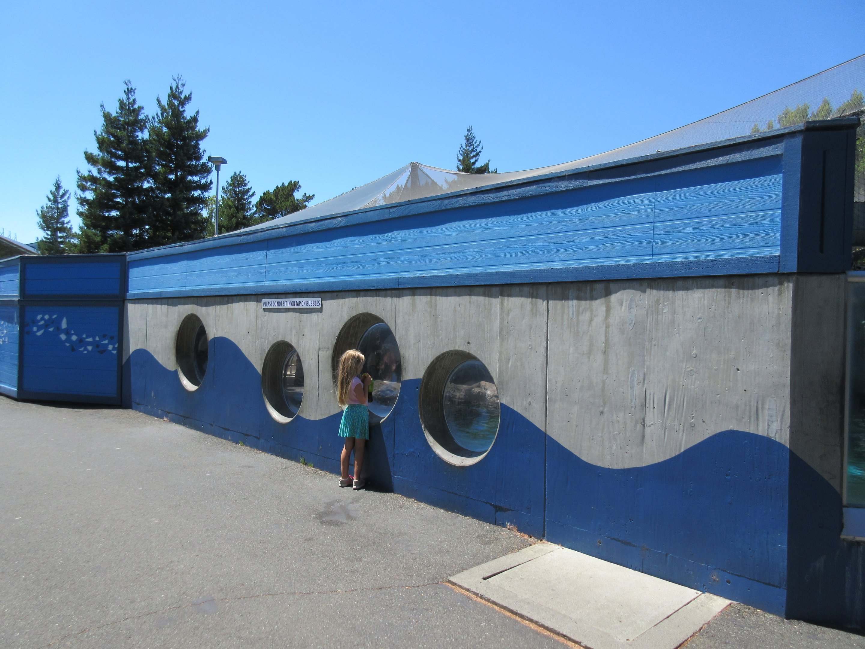 Jocko's Walrus Experience