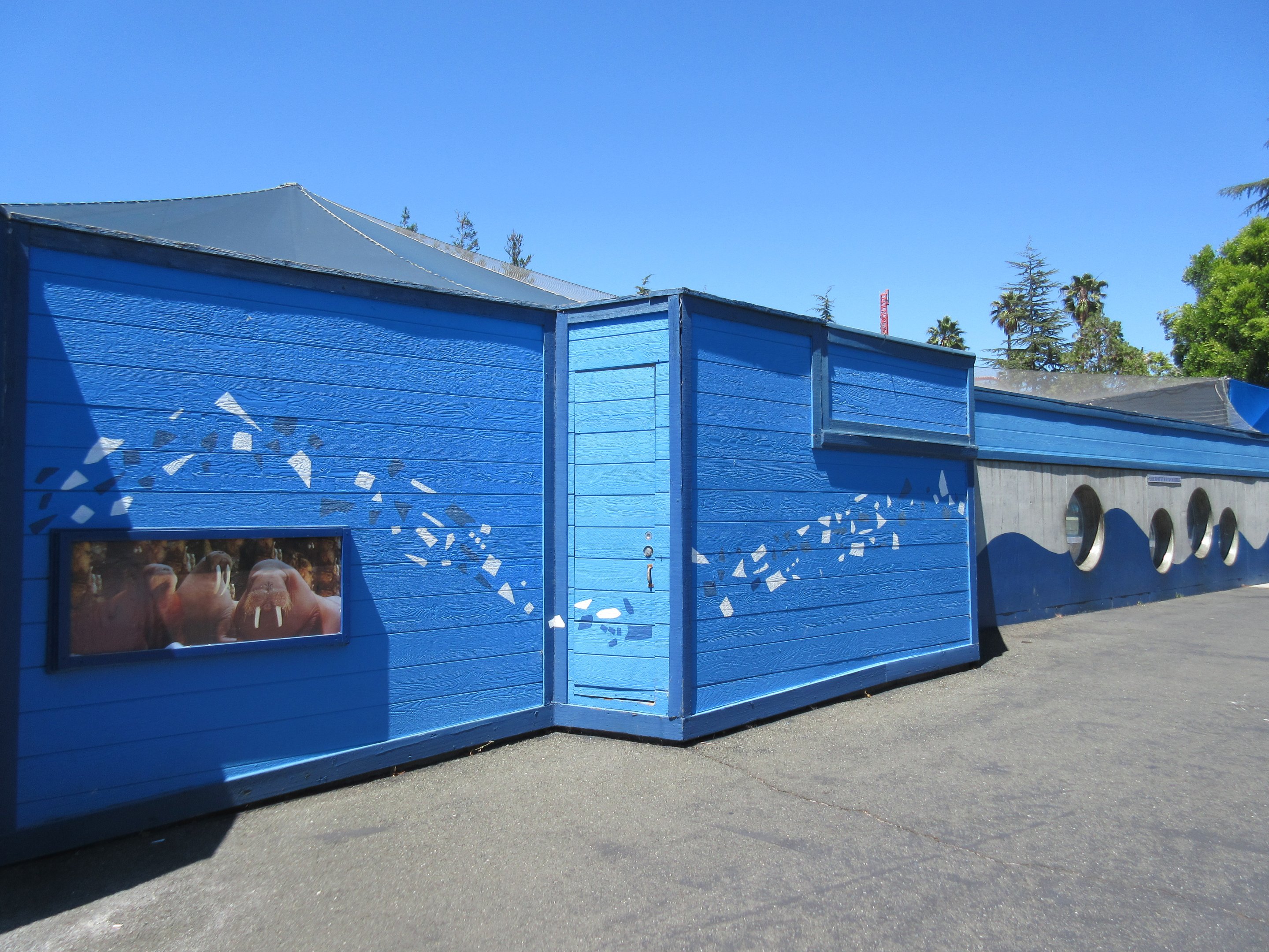 Jocko's Walrus Experience