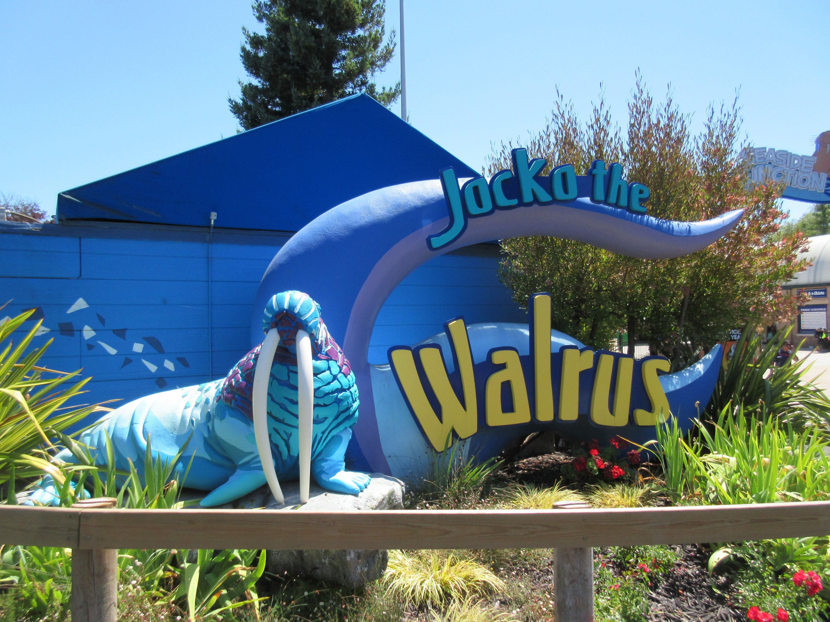 Jocko's Walrus Experience