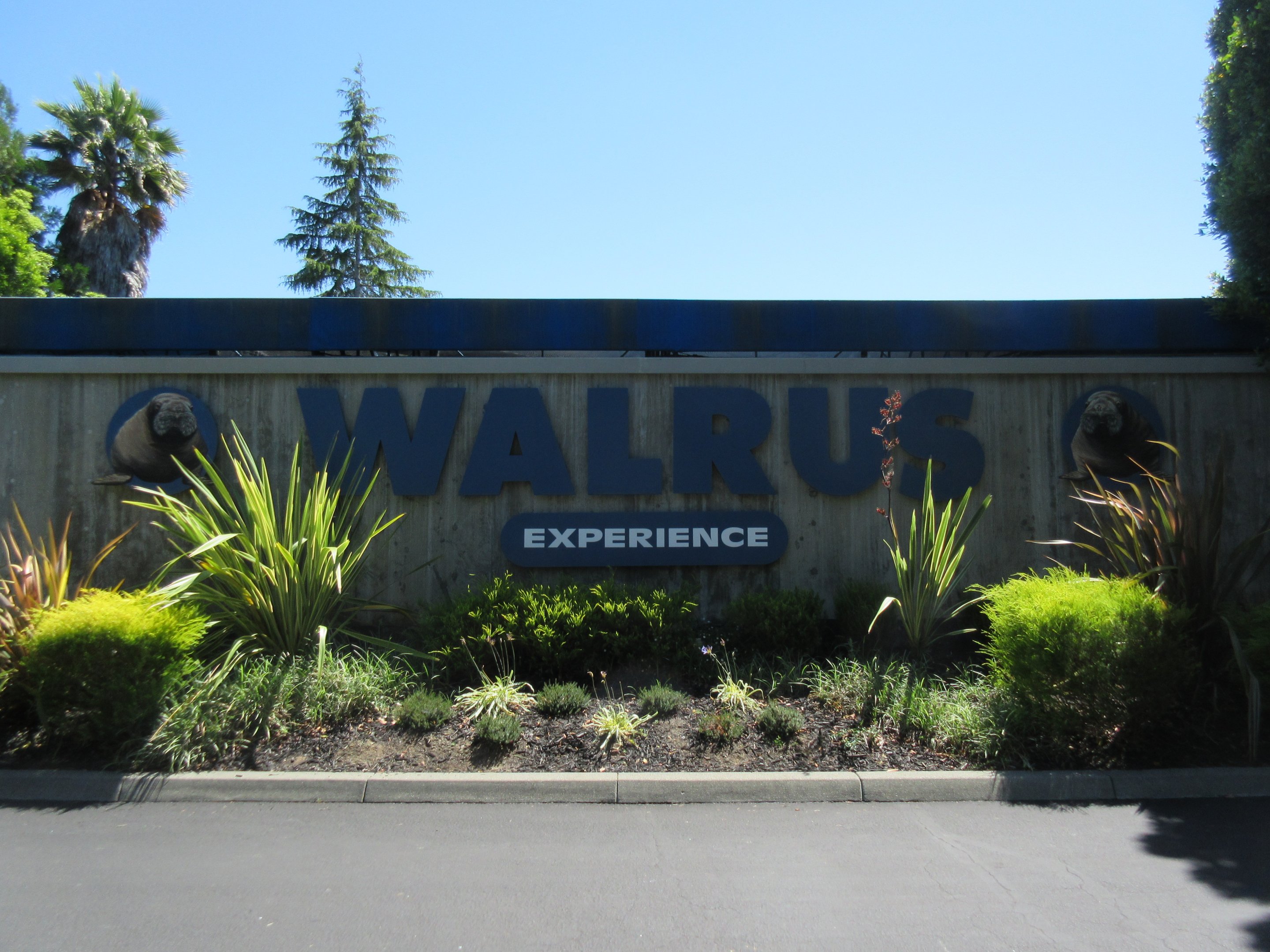 Jocko's Walrus Experience