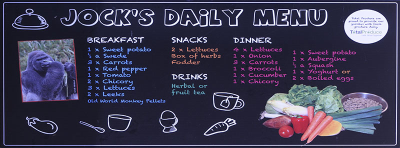 Jock's Daily Menu sign