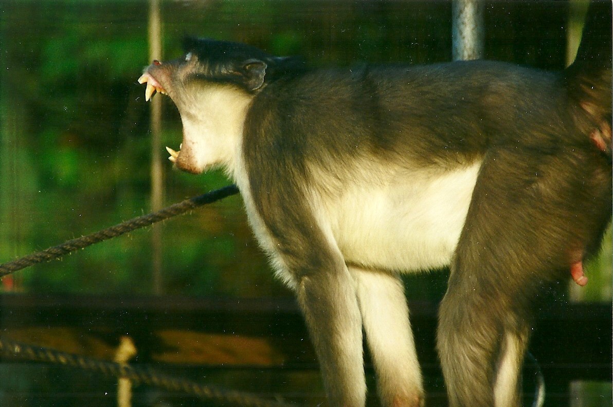 Joe 15th January 2000