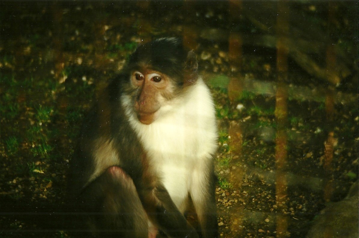 Joe 20th February 1999