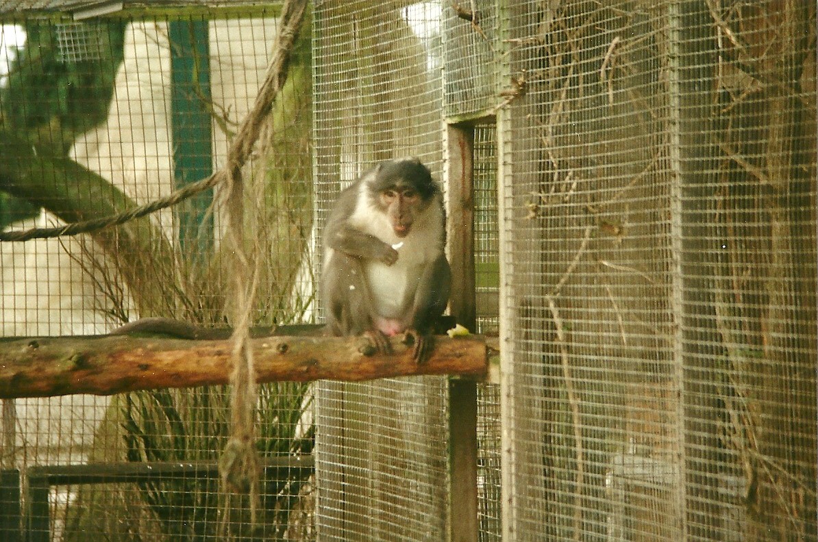 Joe 20th February 1999