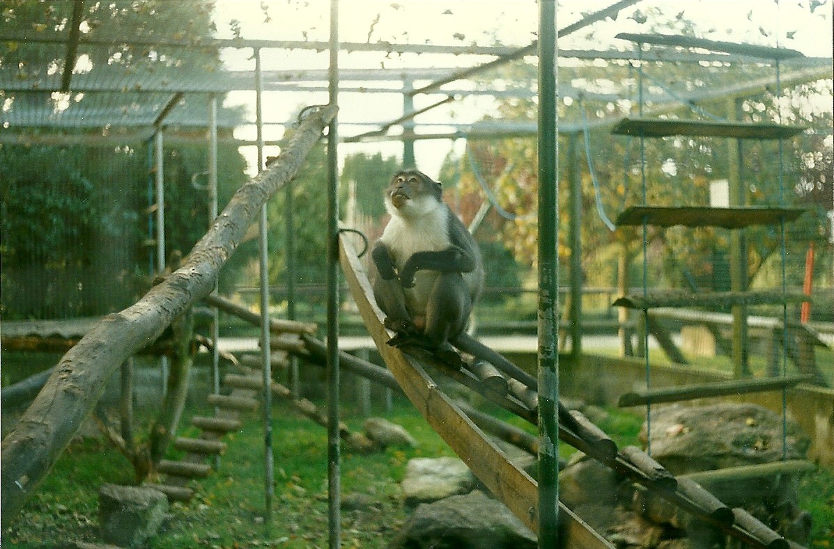 Joe 26th October 1996