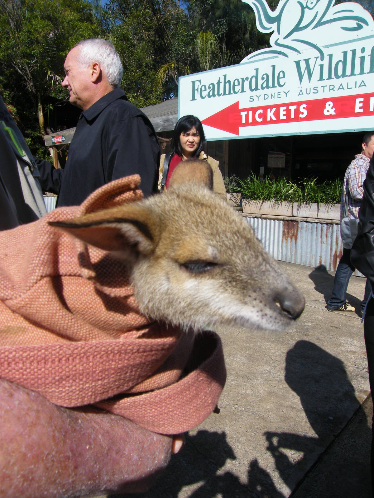 Joey acting as our arrival Party